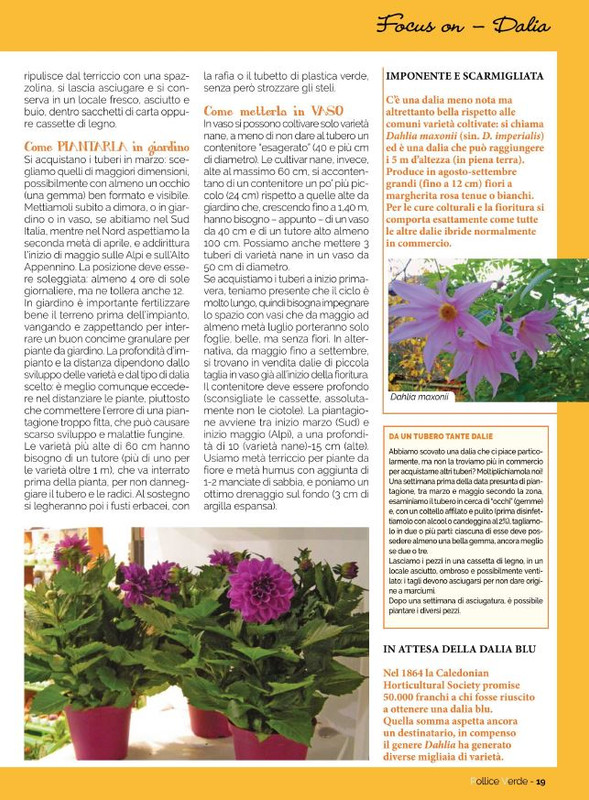 Pol Ver Ago 2021 (4)