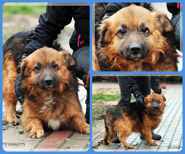 BeFunky-collage (22)