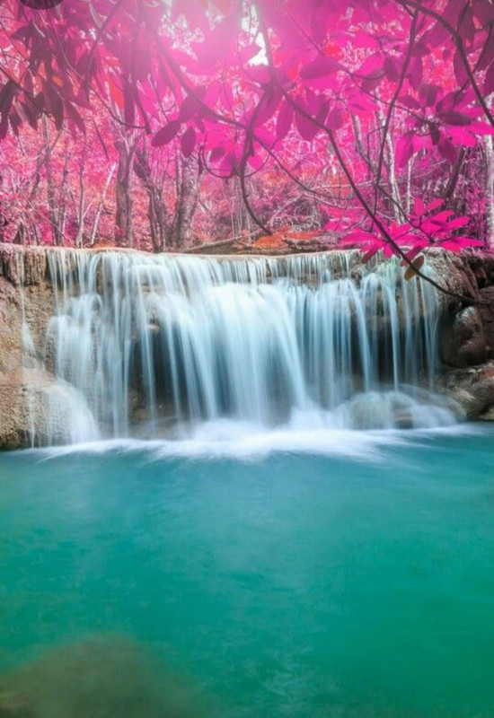 Screenshot_20240512_184510_Pinterest