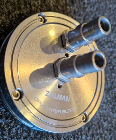 zalma.png