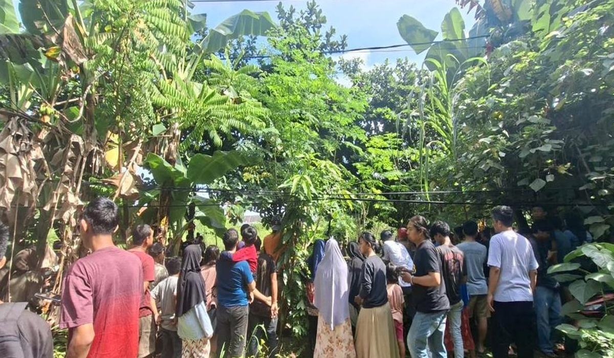 Reaksi dari Lingkungan Kampus dan Keluarga