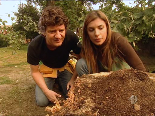 vlcsnap-2014-09-18-11h51m12s66