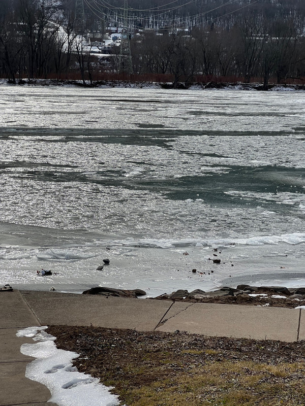 CD9F3509-75E6-4770-9FE5-BD71B5571761