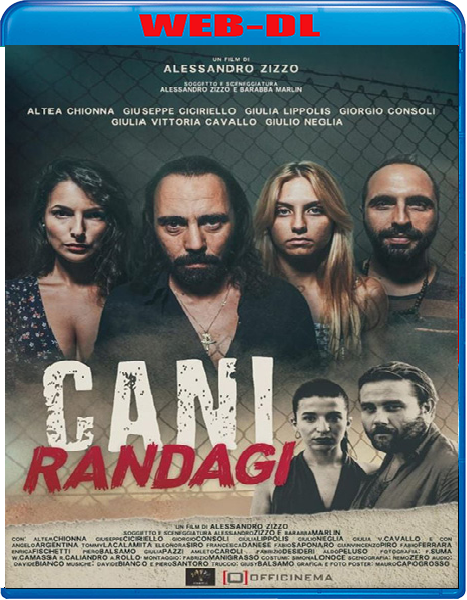 Cani randagi (2023) mkv FullHD 1080p WEBDL ITA Sub