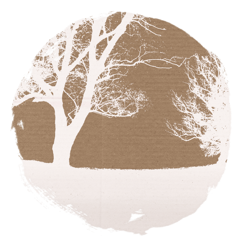 BIBI-PINK ANGEL ELEMS (90)