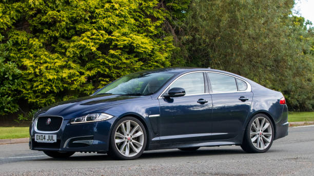 Affordable Luxury Car Reviews