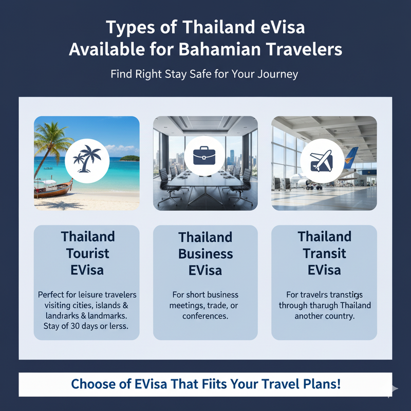 Gemini_Generated_Image_i3p26ki3p26ki3p2