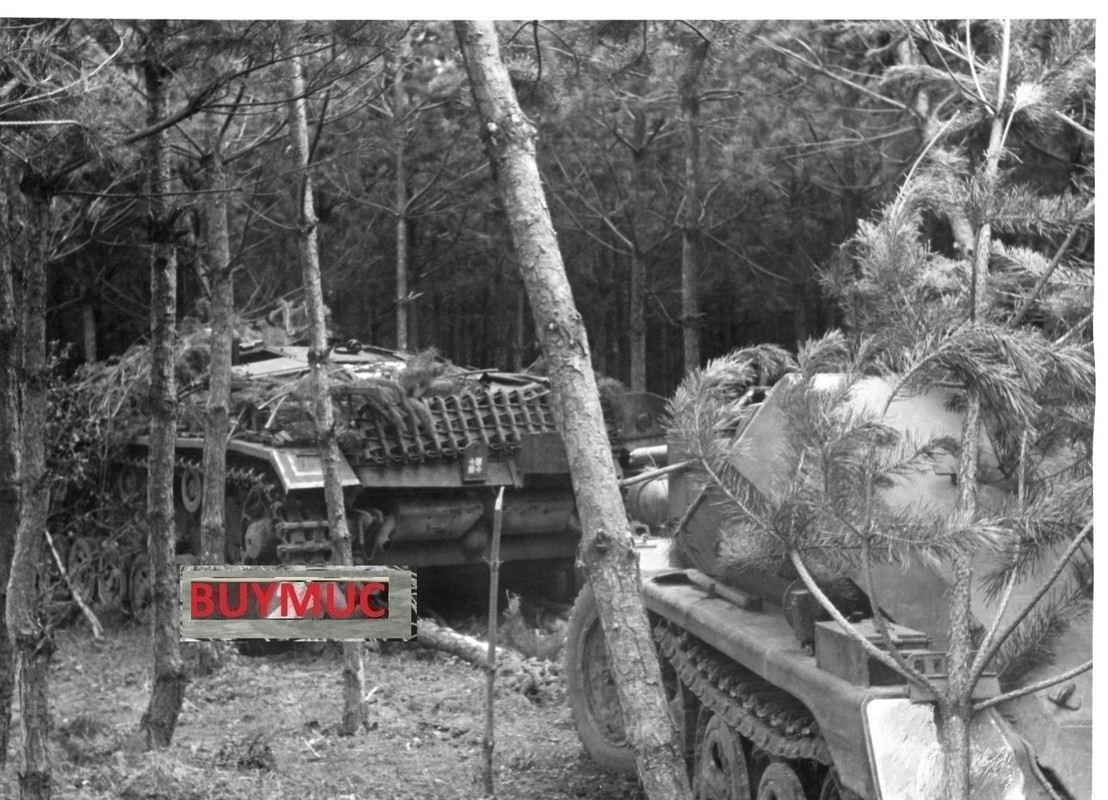 LARGE FOTO PANZER TANK STURMGESCHÜTZ RUSSIA GATN