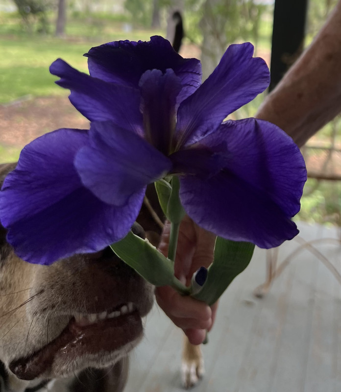 5C33AD0C-C148-4509-8408-CD9985E05AFB