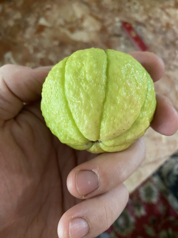 C5943340-B859-492D-BE76-57118F455C23