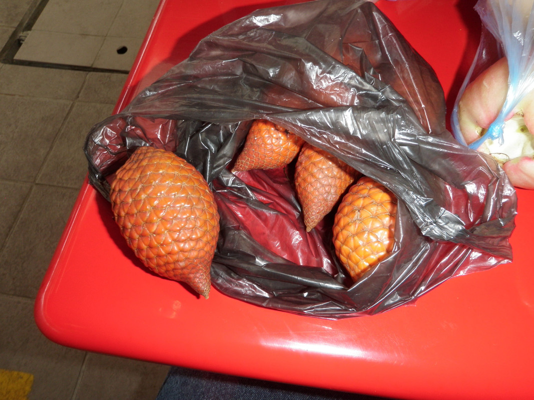 life in asia for a year and backpacking 209