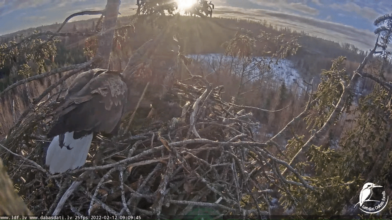 Webp.net-gifmaker (8)