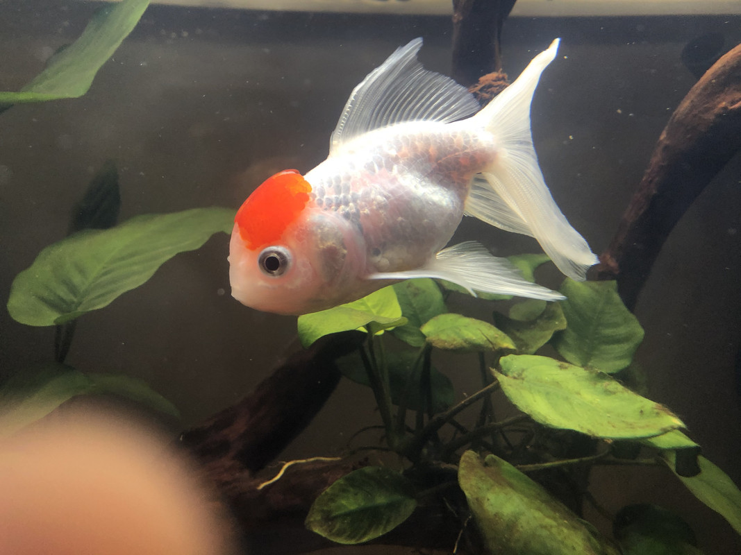 46F97814-0A33-49CB-BA98-41A0720BEC9F