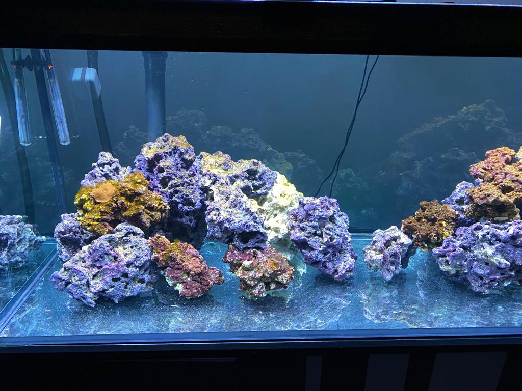 WhatsApp Image 2020-04-07 at 20.40.55 (1)