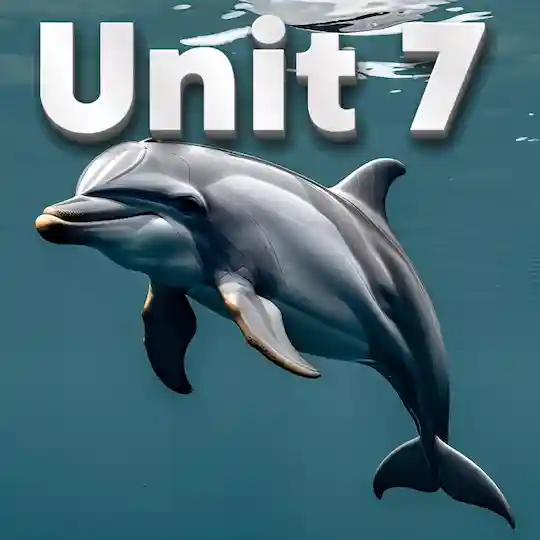 Unit 7