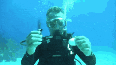 GIFs-16