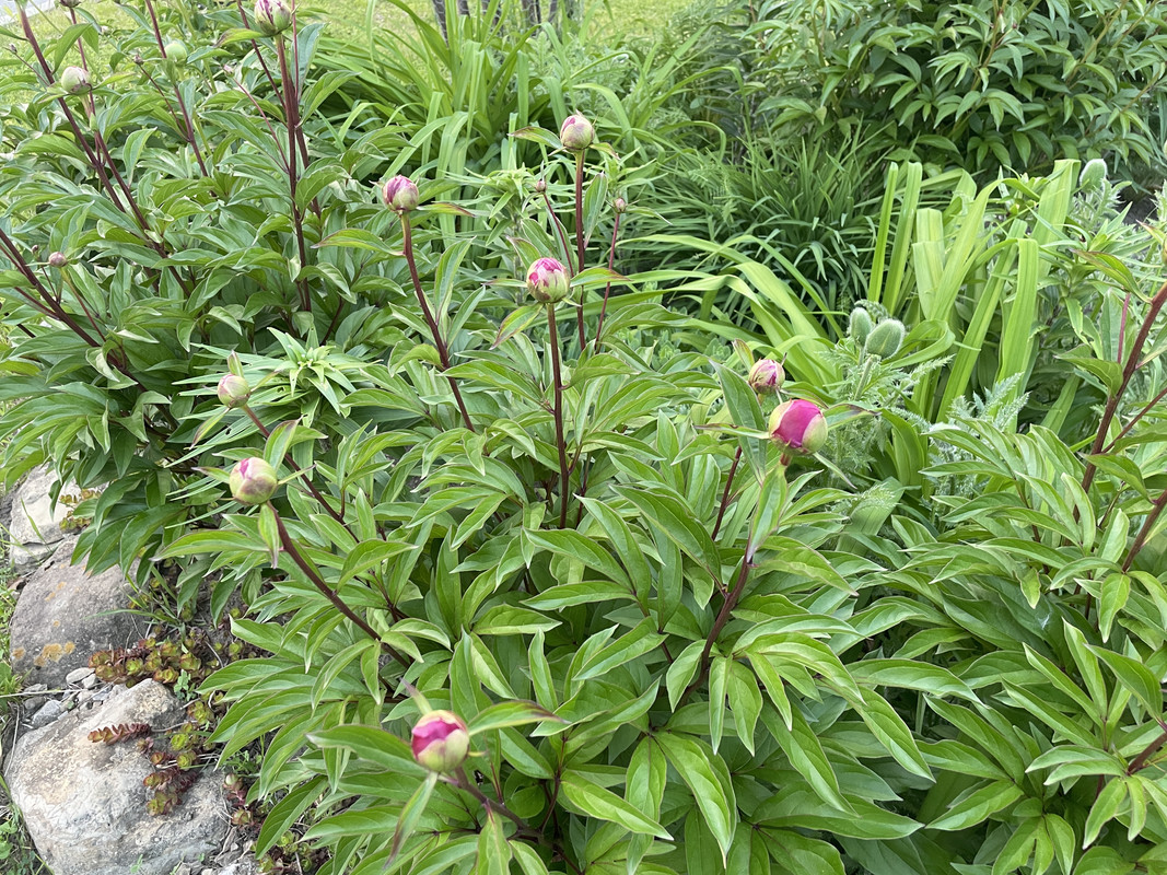 25C3FA53-8F84-4CEA-953A-F59E9F69CF9C