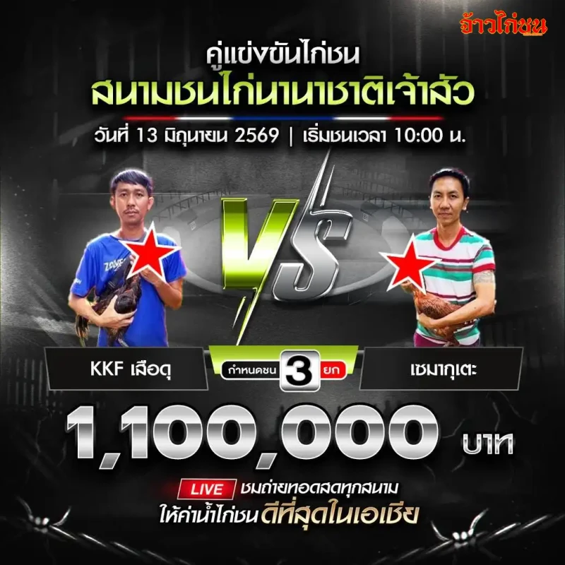 KKF เสือดุ vs เซมากุเตะ สนามชนไก่นานาชาติเจ้าสัว วันเสาร์ที่ 13 มิถุนายน 2026
