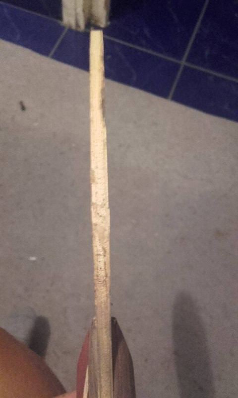 tube 4