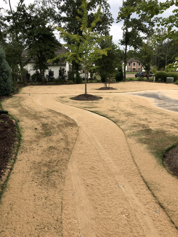 EFB1BA1B-65CE-47A4-8299-333CD6A1B9C6