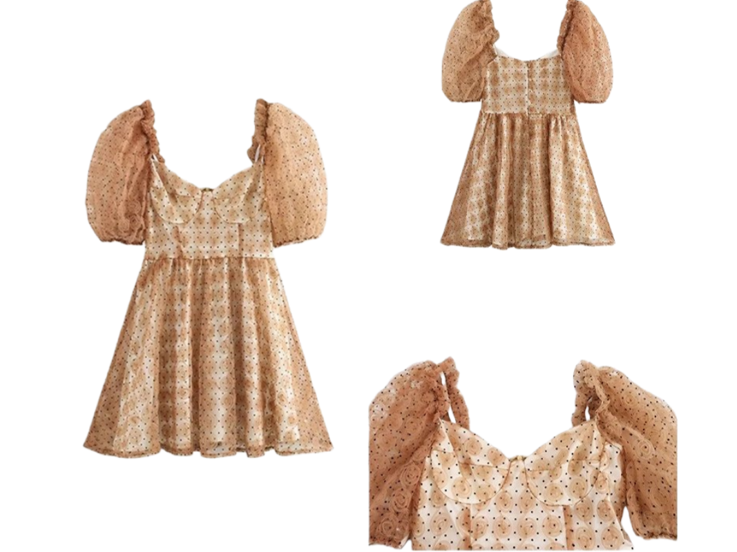 Zara Dress