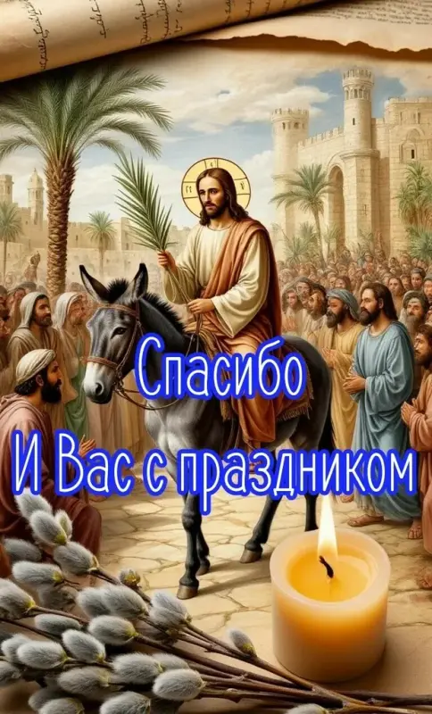 g-jpg-jpg-webp-webp