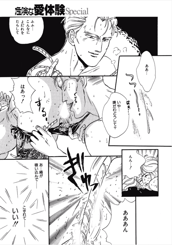 Kikenna Ai Taiken SpecialVol1-33