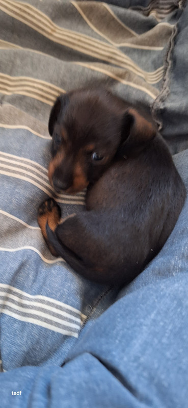 [Image: 20250520-110310.jpg]