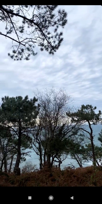 Screenshot_2020-12-27-19-33-52-598_com.instagram.android