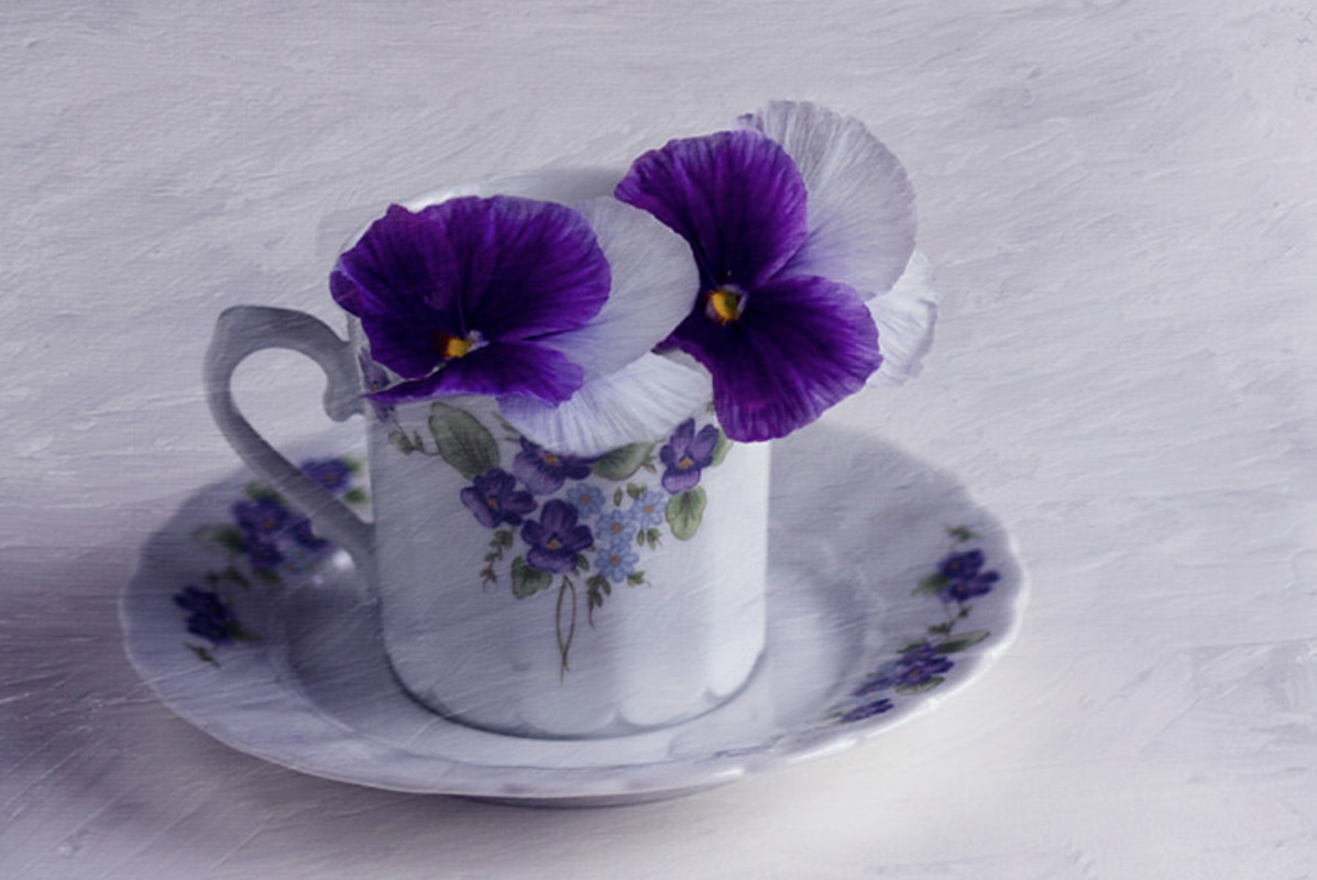 purple-panises.jpg