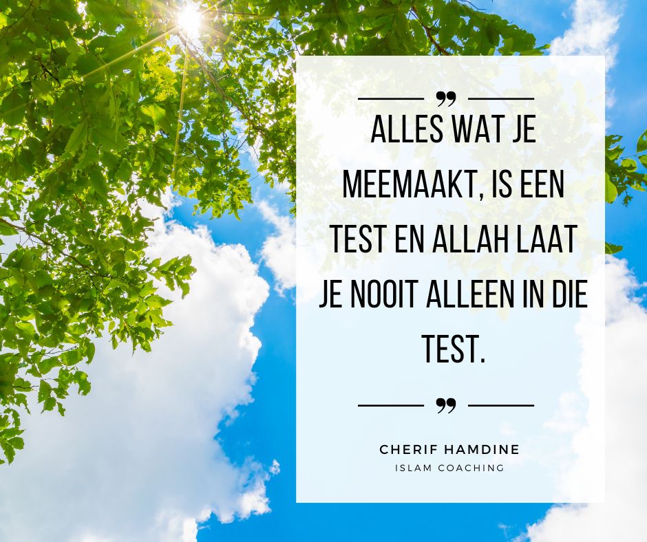 154-2025-07-29-T112039-170