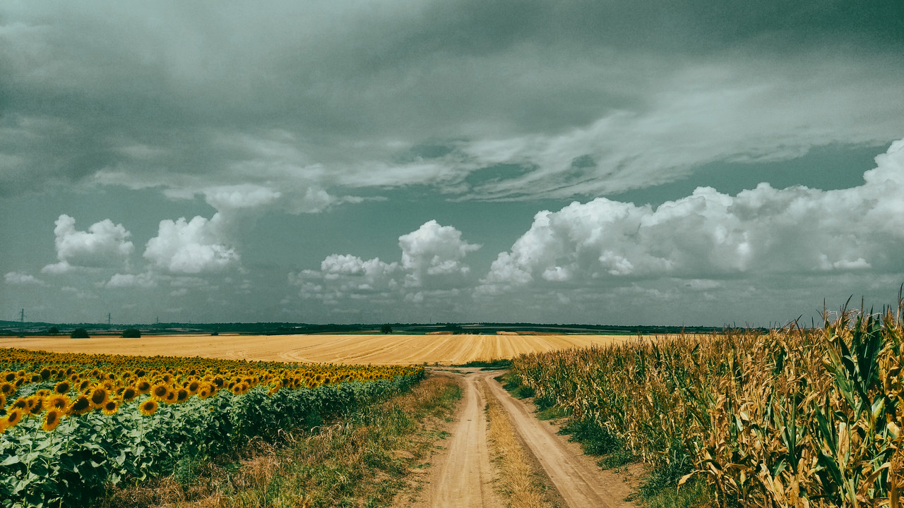 IMG_20220815_133315_DRO (1)