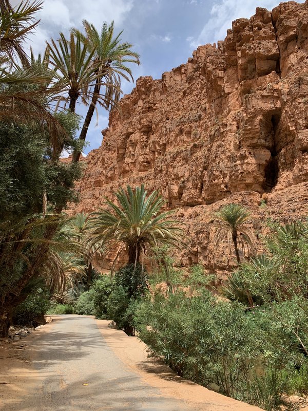 Sur de Marruecos: oasis, touaregs y herencia española - Blogs de Marruecos - Tafraoute y alrededores. Ruta hasta Sidi Ifni (9)