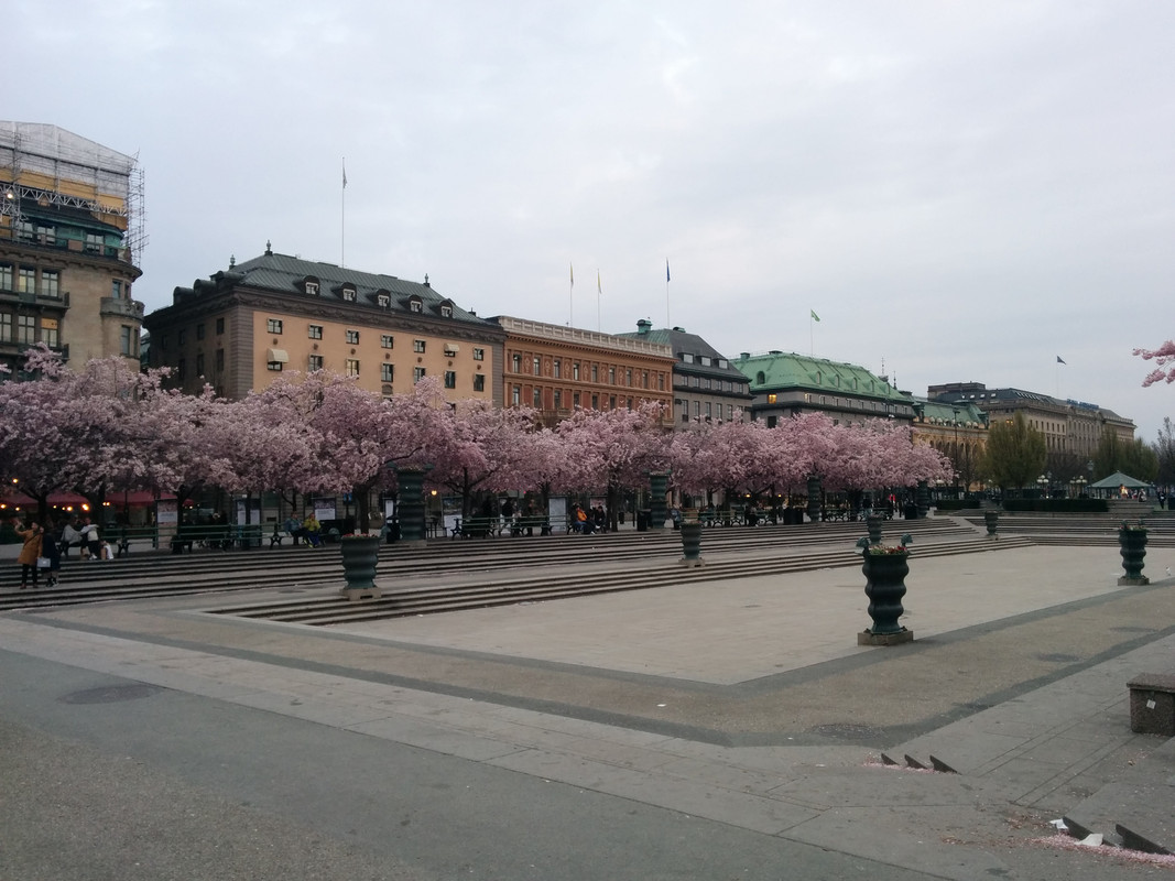 IMG_20190425_195742