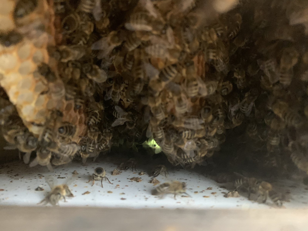 D41397EB-5F7B-4881-BE28-9D6770D99DF2