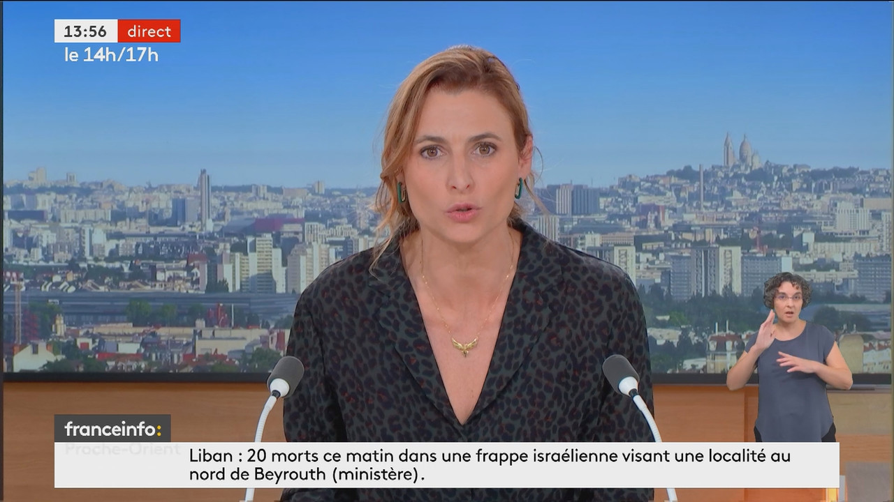 Le 14h-17h (Franceinfo)_2024_11_10_12_50_83.ts_snapshot_00.07.05.562