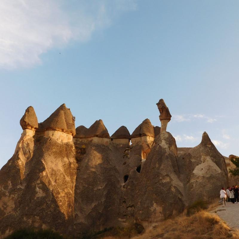 Slika