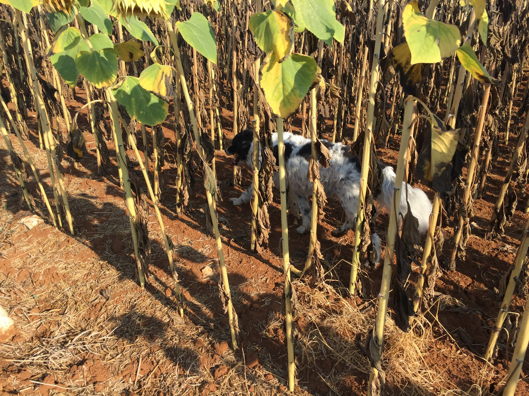 3C812C73-C8BB-461B-9362-BEF5BA250EEE