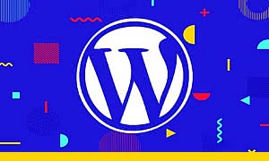 Complete WordPress Developer Course - Plugins & Themes (2023-08)