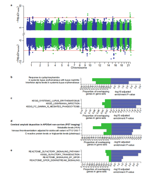 中国成年人群M-GWAS研究-4.png