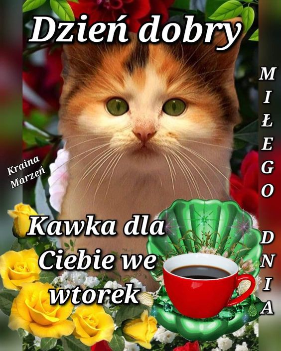 Obrazek dodany przez użytkowniczkę