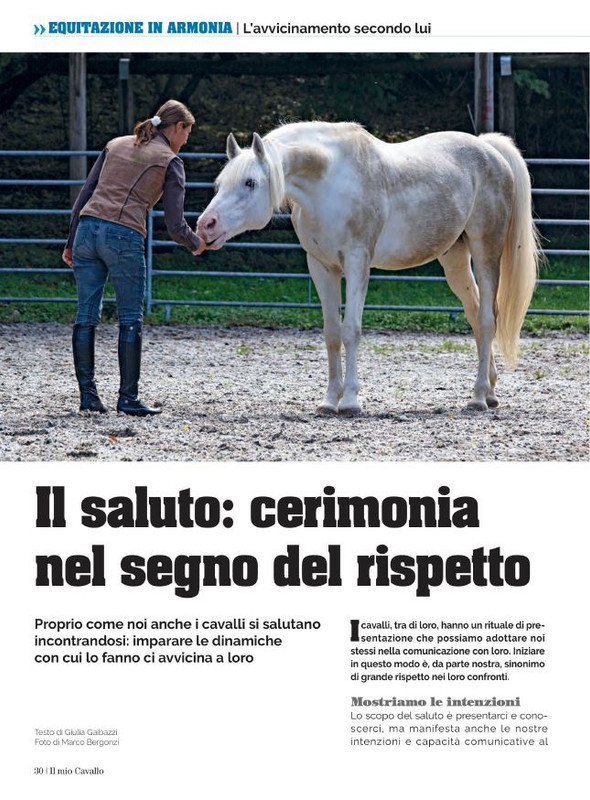 Il Mio Cav (Ago 2022) 3