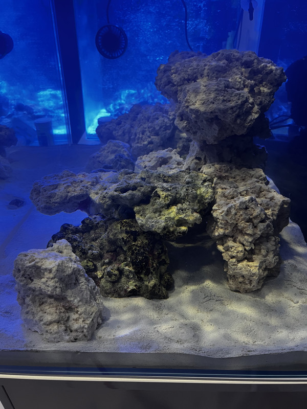 6951E876-E457-4BAF-BC7E-2BE5C345B81D