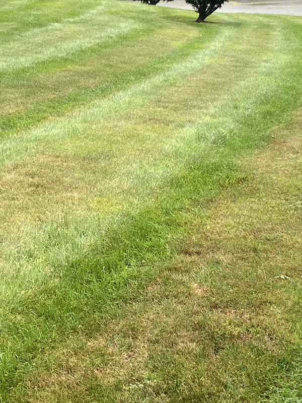 9A1332DF-13DB-43EB-B4C5-724EAFF3614A