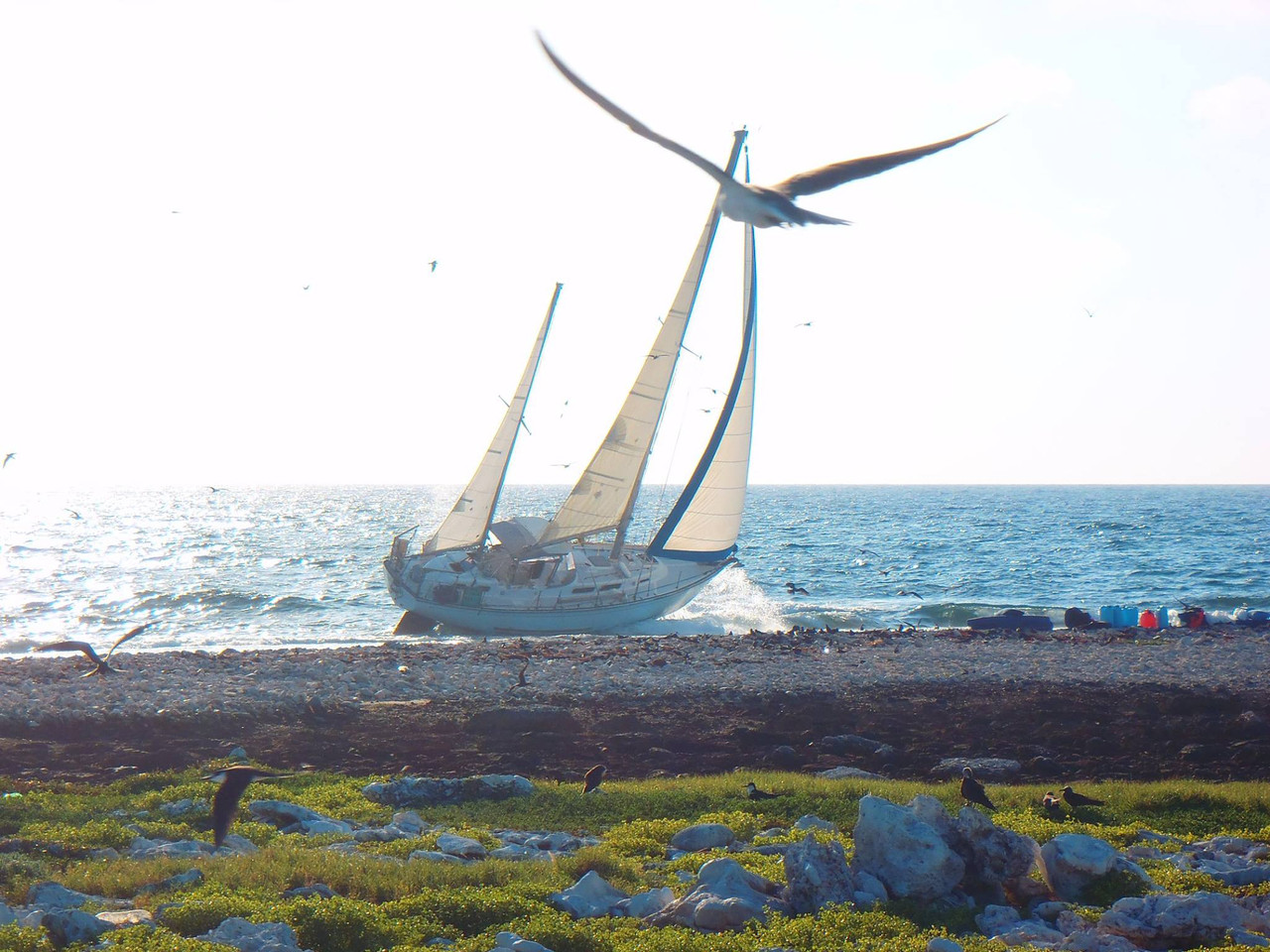 11258459 10153430935724744 4128761197992426466 o