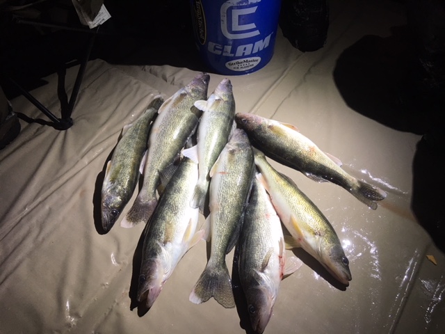 walleyes Sloggy Slough