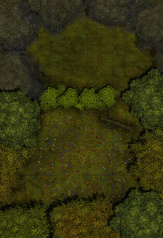 C Rangers Ruse 13x19 Grid