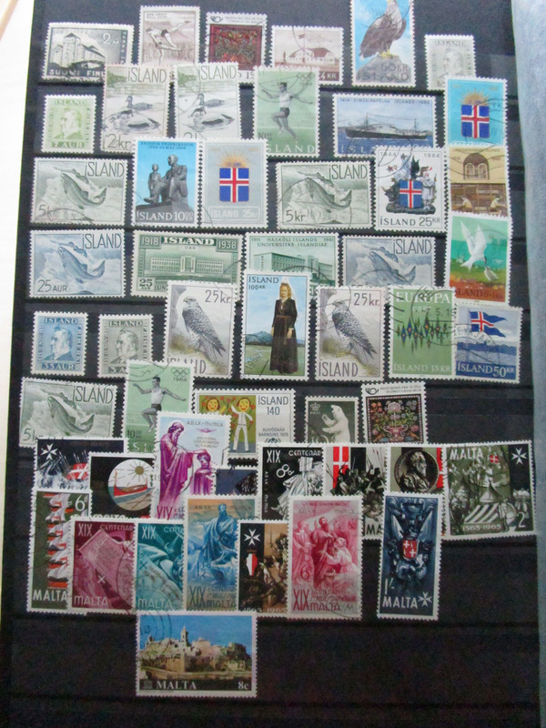 IMG 3281 — Postimages