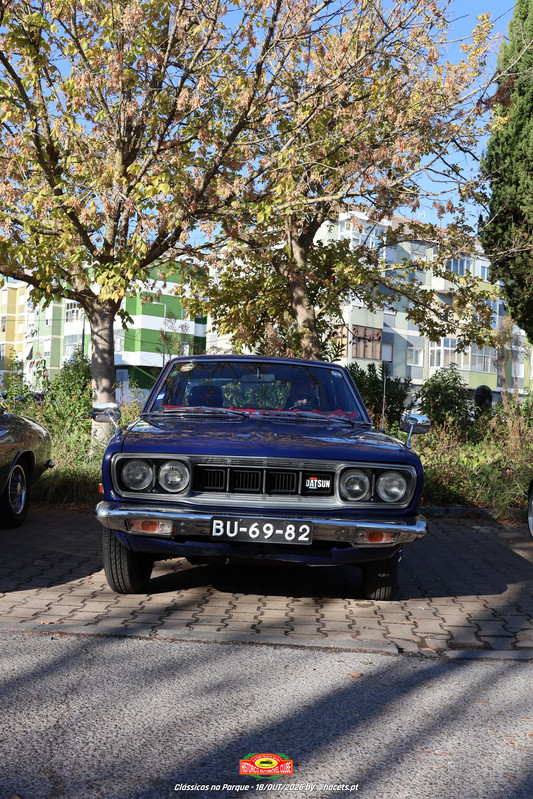 IMG 7364
