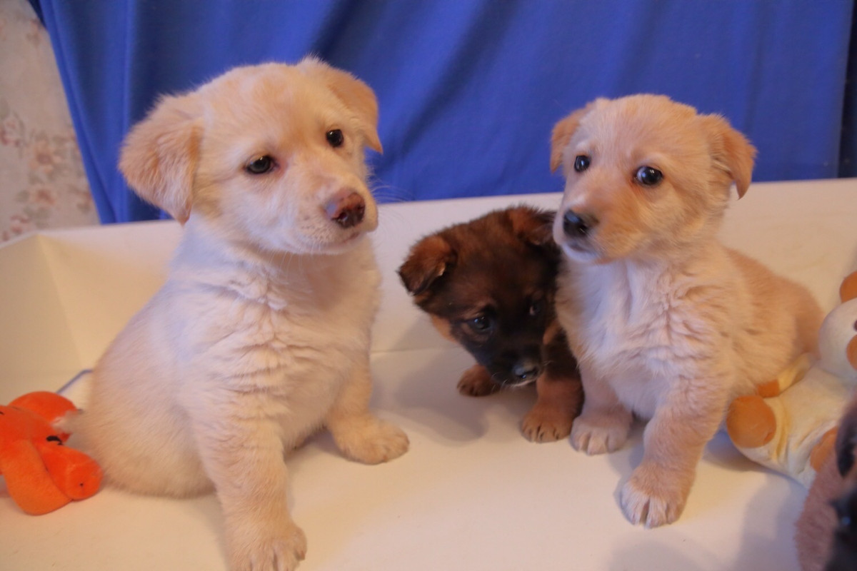 764C99A2-641E-4E2B-AACC-1CE300499A69